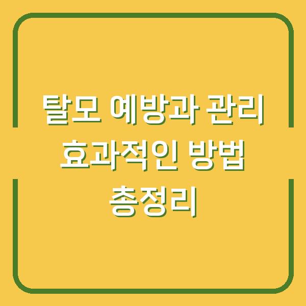 탈모 예방과 관리 효과적인 방법 총정리