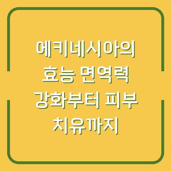 에키네시아의 효능 면역력 강화부터 피부 치유까지