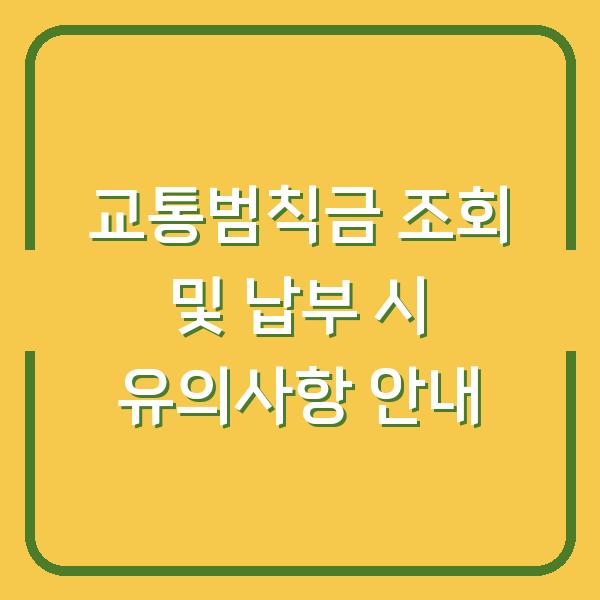 교통범칙금 조회 및 납부 시 유의사항 안내