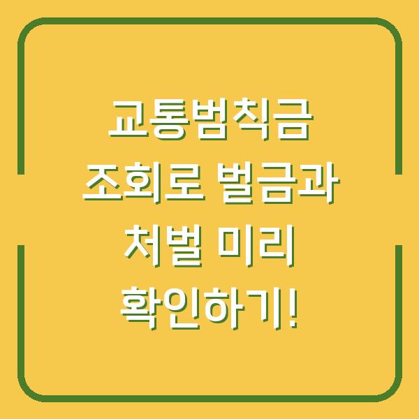 교통범칙금 조회로 벌금과 처벌 미리 확인하기!