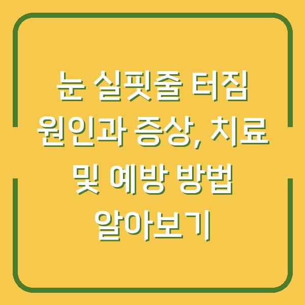 눈 실핏줄 터짐 원인과 증상, 치료 및 예방 방법 알아보기