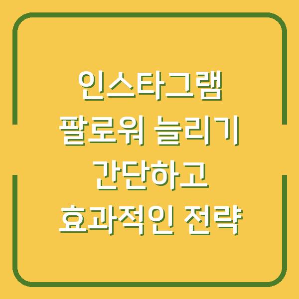 인스타그램 팔로워 늘리기 간단하고 효과적인 전략