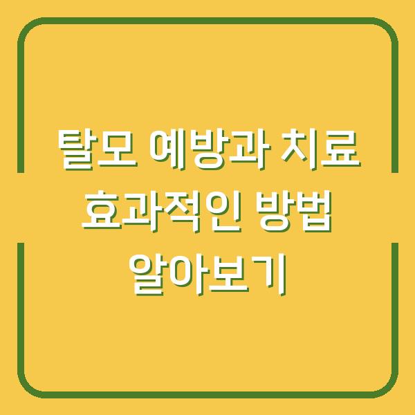 탈모 예방과 치료 효과적인 방법 알아보기