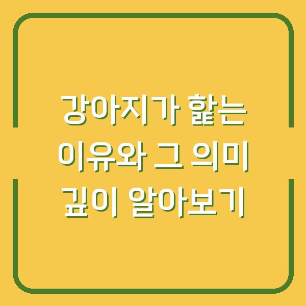 강아지가 핥는 이유와 그 의미 깊이 알아보기