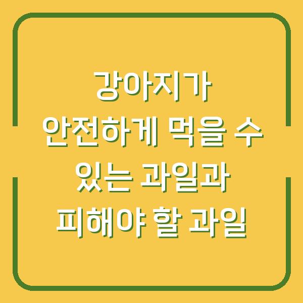 강아지가 안전하게 먹을 수 있는 과일과 피해야 할 과일