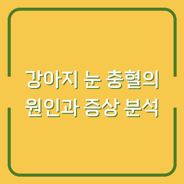 강아지 눈 충혈의 원인과 증상 분석