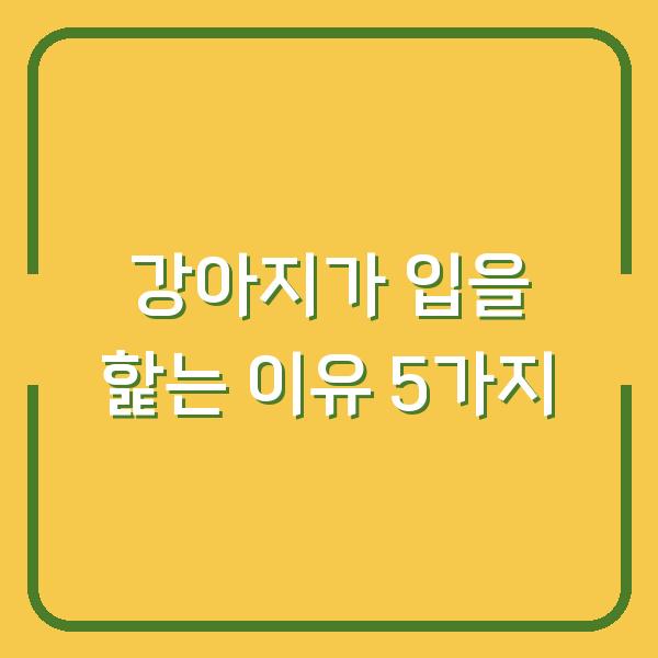 강아지가 입을 핥는 이유 5가지