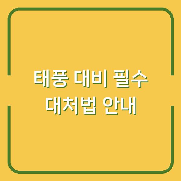 태풍 대비 필수 대처법 안내