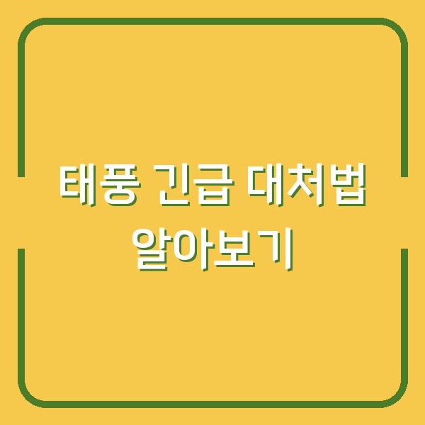 태풍 긴급 대처법 알아보기