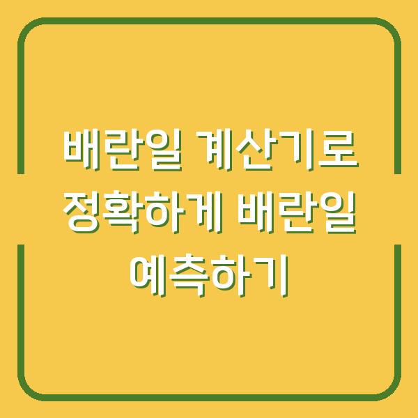 배란일 계산기로 정확하게 배란일 예측하기