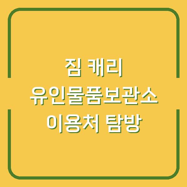 짐 캐리 유인물품보관소 이용처 탐방