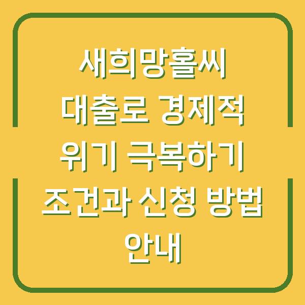 새희망홀씨 대출로 경제적 위기 극복하기 조건과 신청 방법 안내