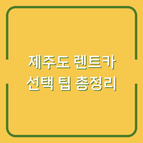 제주도 렌트카 선택 팁 총정리