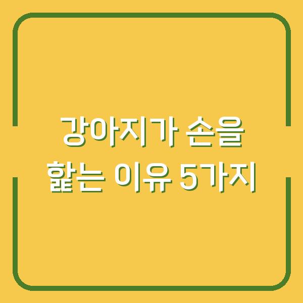 강아지가 손을 핥는 이유 5가지