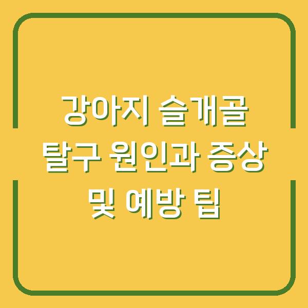 강아지 슬개골 탈구 원인과 증상 및 예방 팁