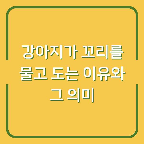 강아지가 꼬리를 물고 도는 이유와 그 의미