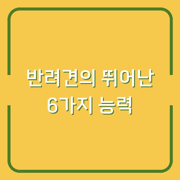 반려견의 뛰어난 6가지 능력