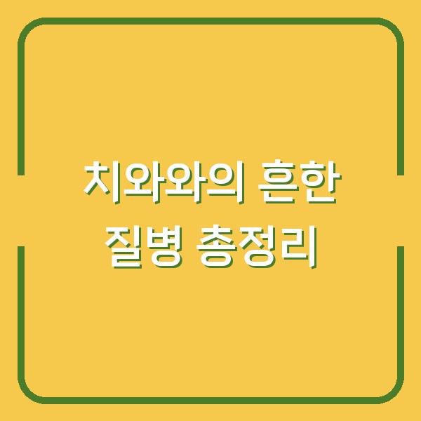 치와와의 흔한 질병 총정리