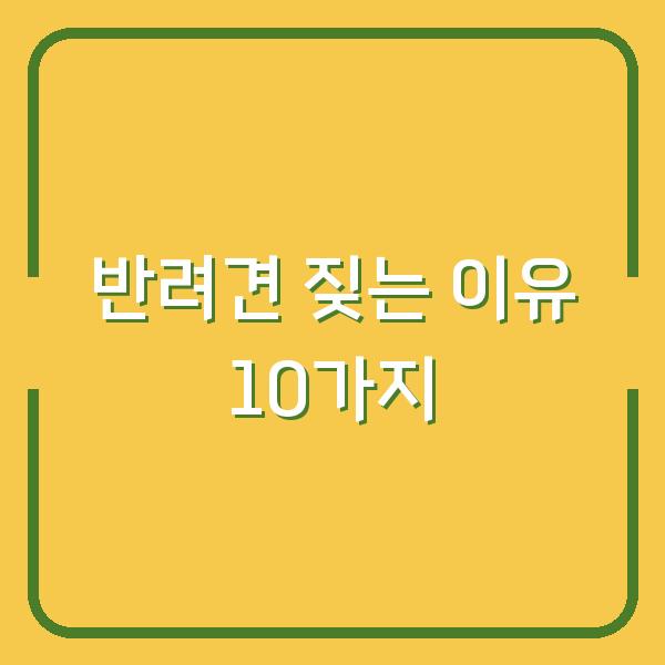 반려견 짖는 이유 10가지