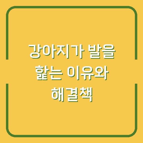 강아지가 발을 핥는 이유와 해결책