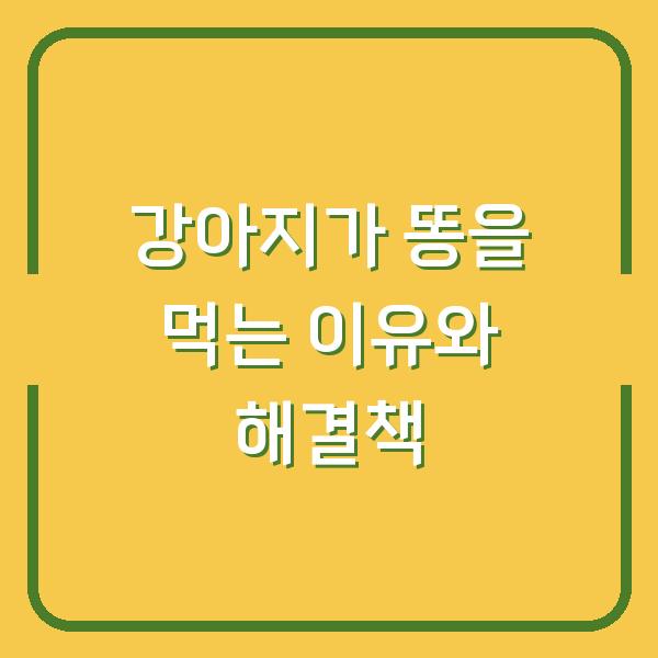 강아지가 똥을 먹는 이유와 해결책