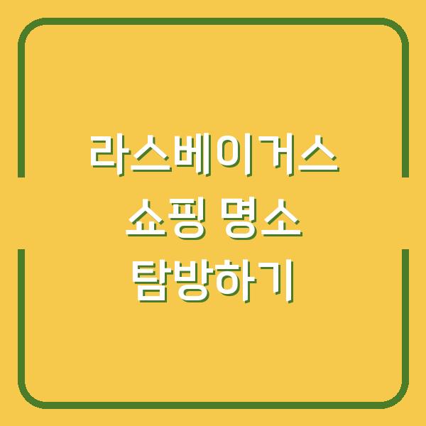 라스베이거스 쇼핑 명소 탐방하기