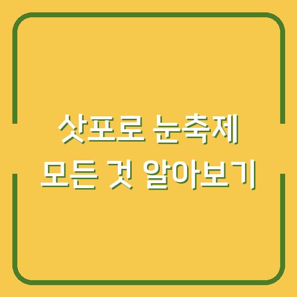 삿포로 눈축제 모든 것 알아보기