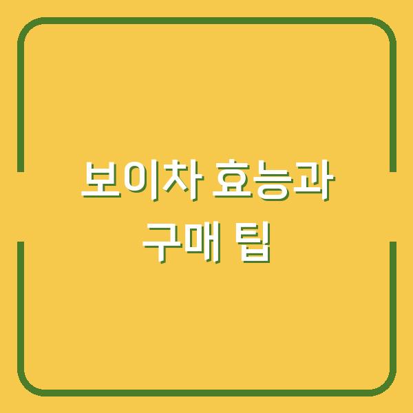 보이차 효능과 구매 팁