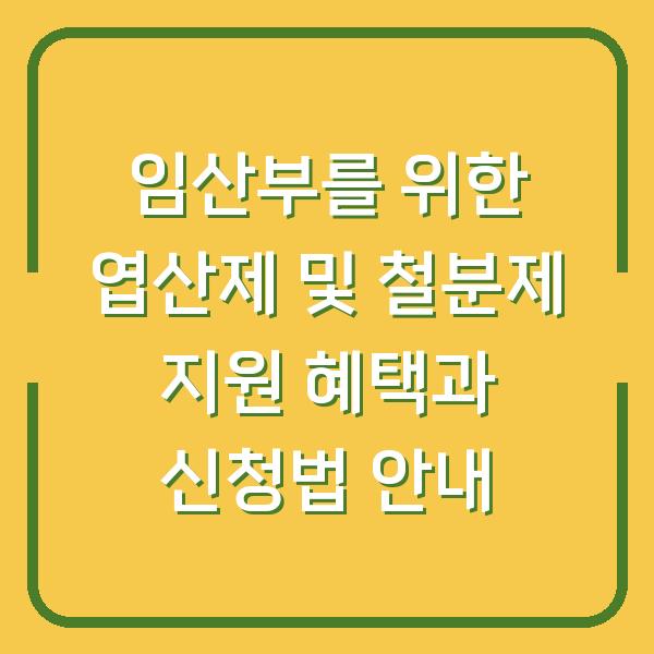 임산부를 위한 엽산제 및 철분제 지원 혜택과 신청법 안내