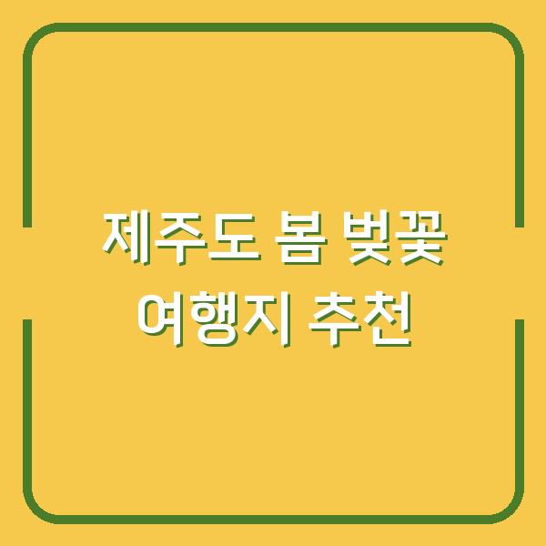 제주도 봄 벚꽃 여행지 추천