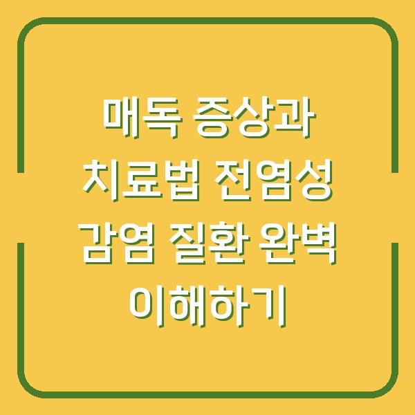 매독 증상과 치료법 전염성 감염 질환 완벽 이해하기