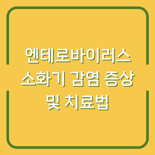 엔테로바이러스 소화기 감염 증상 및 치료법