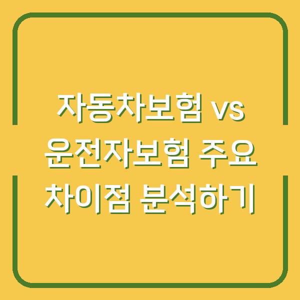 자동차보험 vs 운전자보험 주요 차이점 분석하기