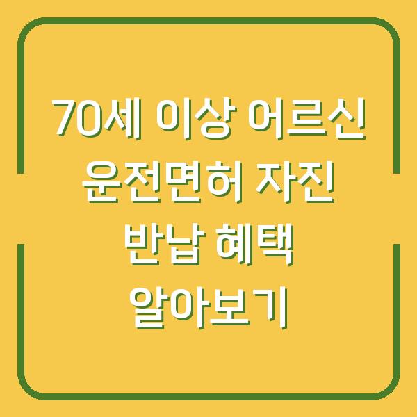 70세 이상 어르신 운전면허 자진 반납 혜택 알아보기