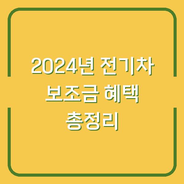 2024년 전기차 보조금 혜택 총정리