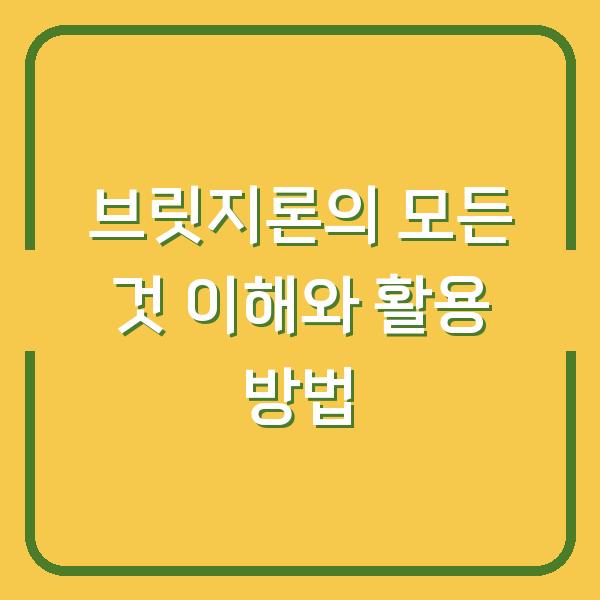 브릿지론의 모든 것 이해와 활용 방법