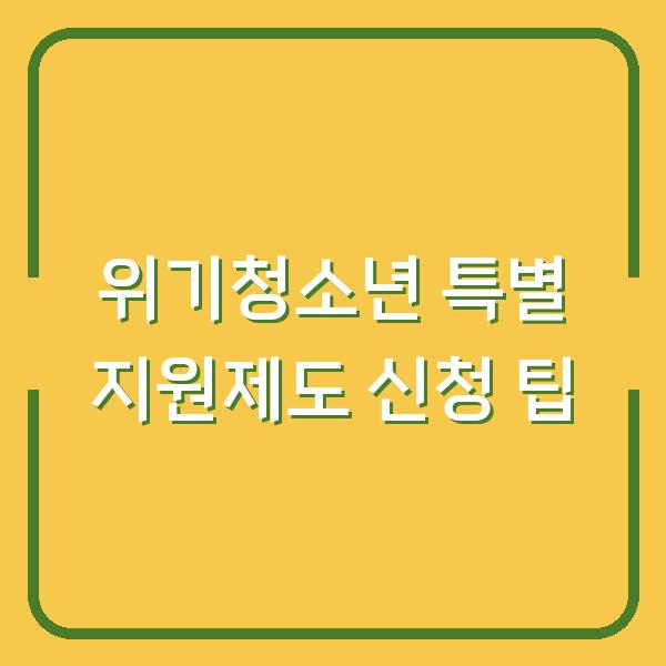 위기청소년 특별 지원제도 신청 팁