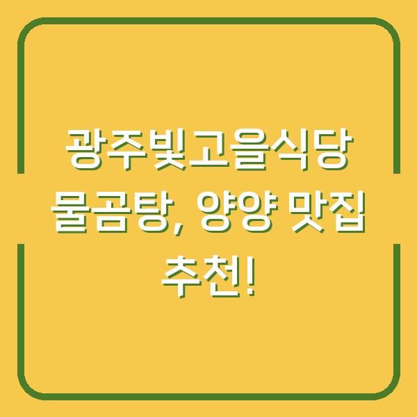 광주빛고을식당 물곰탕, 양양 맛집 추천!