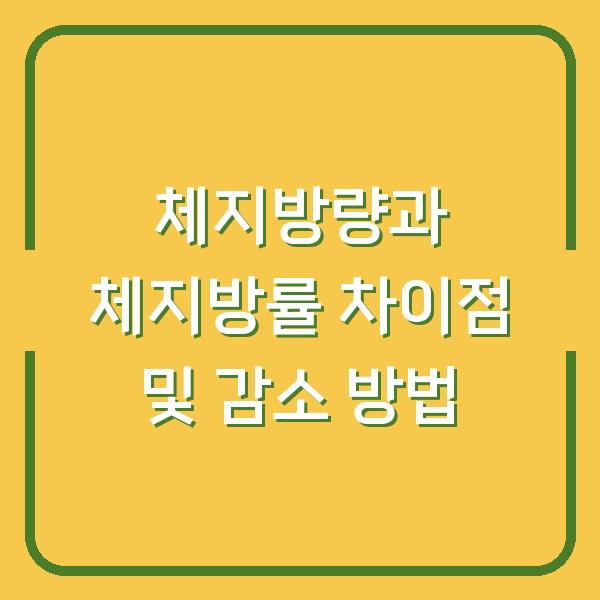 체지방량과 체지방률 차이점 및 감소 방법