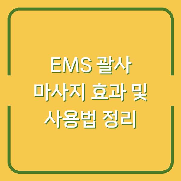 EMS 괄사 마사지 효과 및 사용법 정리