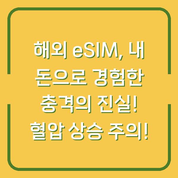 해외 eSIM, 내 돈으로 경험한 충격의 진실! 혈압 상승 주의!