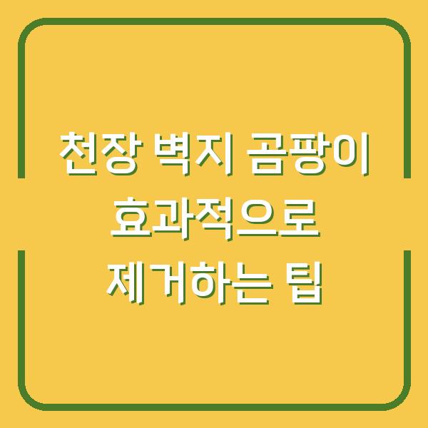 천장 벽지 곰팡이 효과적으로 제거하는 팁