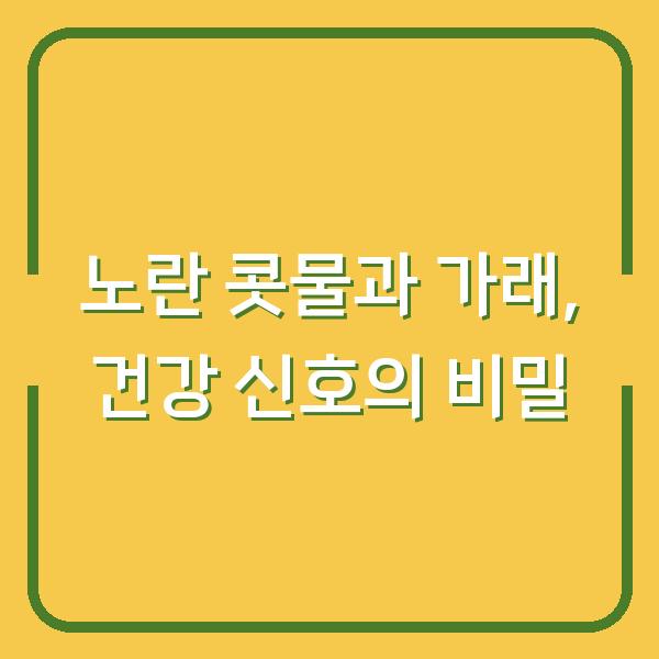 노란 콧물과 가래, 건강 신호의 비밀