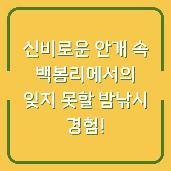 신비로운 안개 속 백봉리에서의 잊지 못할 밤낚시 경험!