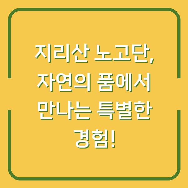 지리산 노고단, 자연의 품에서 만나는 특별한 경험!