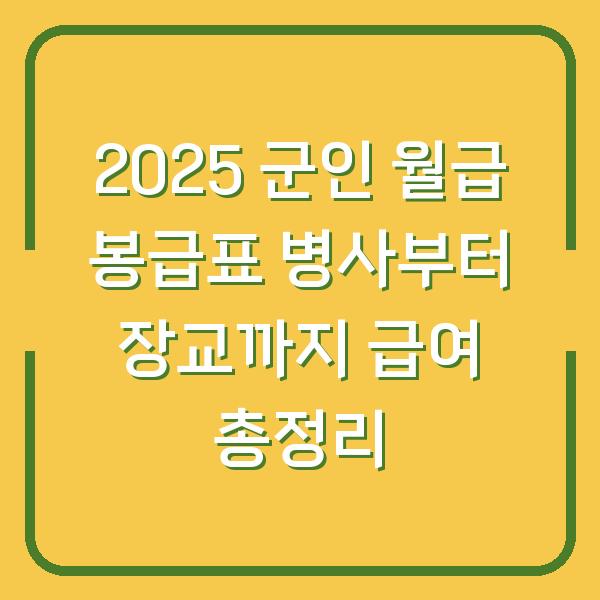 2025 군인 월급 봉급표 병사부터 장교까지 급여 총정리