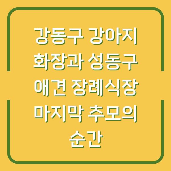 강동구 강아지 화장과 성동구 애견 장례식장 마지막 추모의 순간