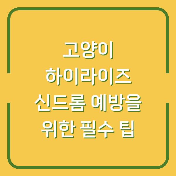 고양이 하이라이즈 신드롬 예방을 위한 필수 팁