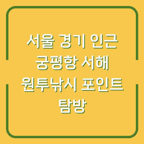서울 경기 인근 궁평항 서해 원투낚시 포인트 탐방