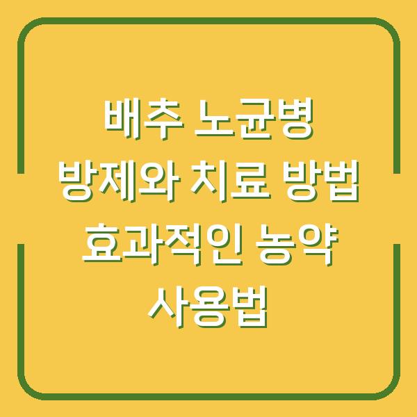 배추 노균병 방제와 치료 방법 효과적인 농약 사용법